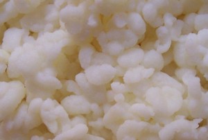 fermenti lattici