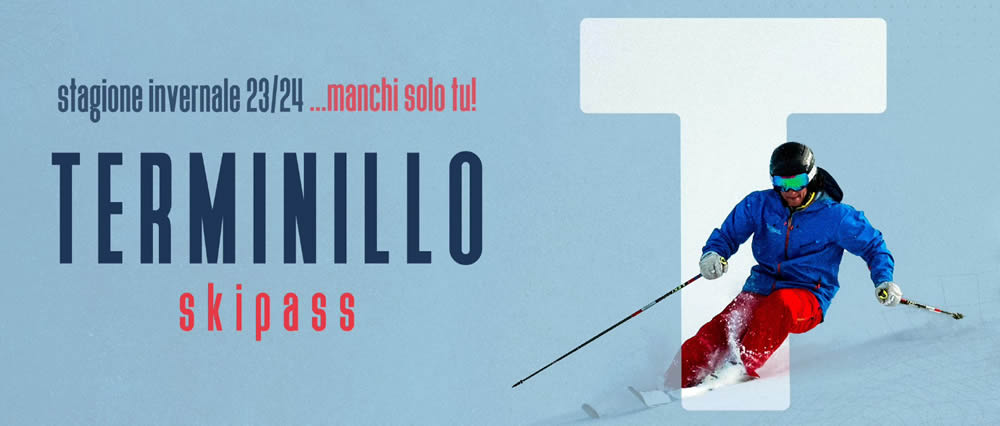 head teminillo2023